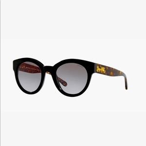 COACH Sunglasses